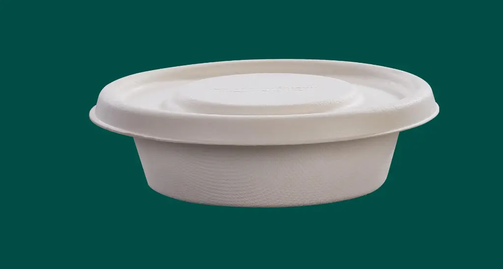 Take-away-bowl-250ml-Lid_MG_3413.webp