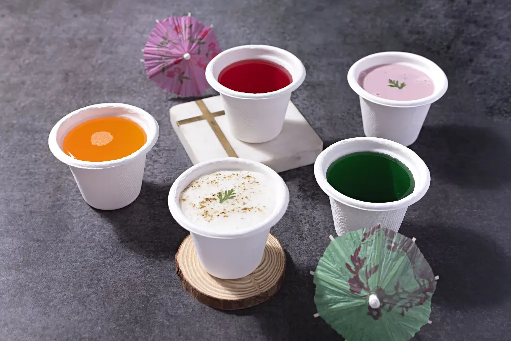 Baggase - Cups & Bowls (no lid)