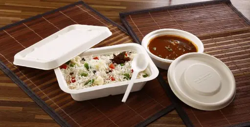 Baggase - Containers